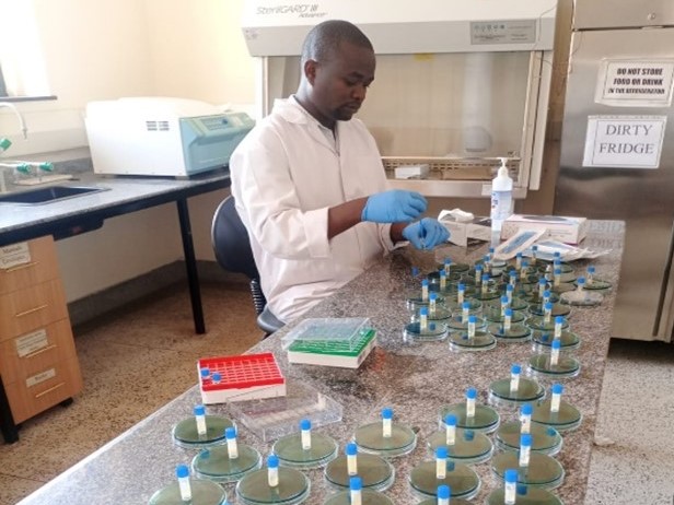ICAP-Trained Laboratory Technologists Clear Backlog, Improve Testing Speed for Detection of Antimicrobial Resistance in Kenya
