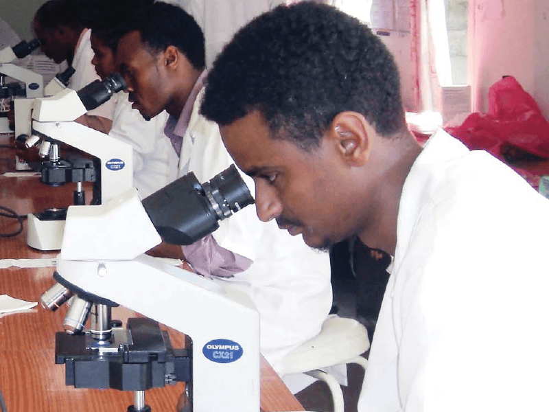 Malaria Laboratory Diagnosis And Monitoring Project: Nine Years of Action