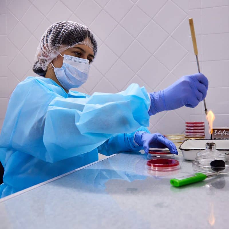 A person in protective clothing, mask, and gloves works in a lab, using a tool to handle petri dishes next to a flame.