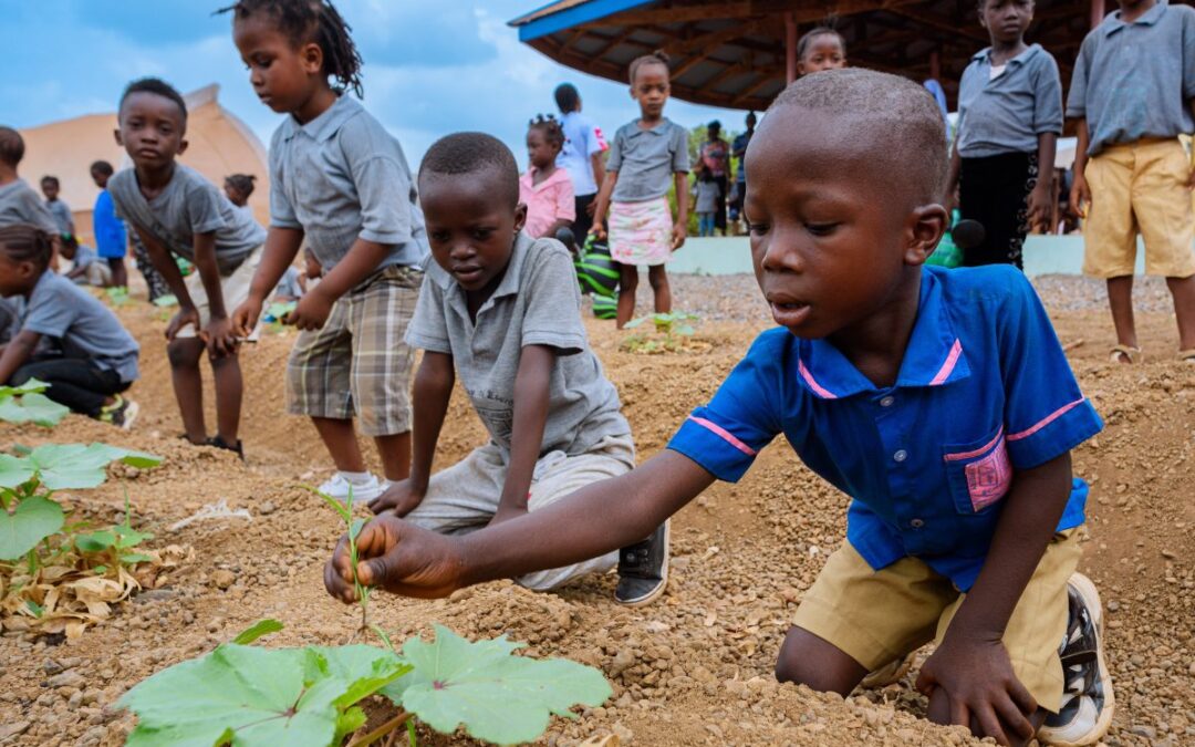 SHINE Teaching Garden Curriculum and Photo Book