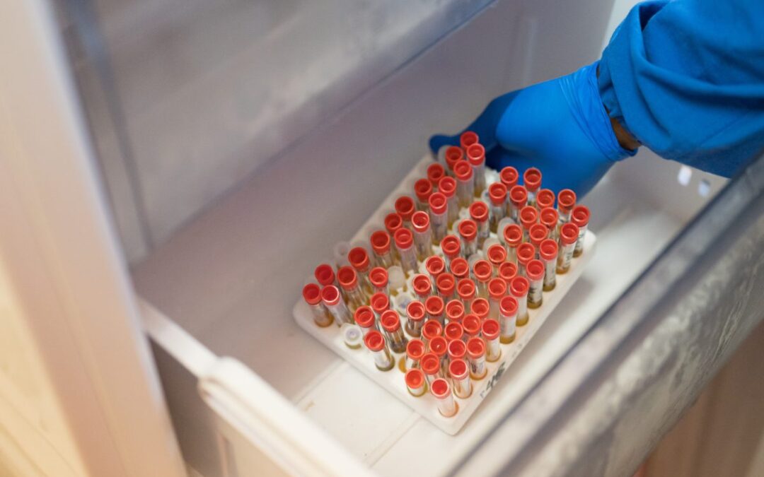 (ARCHIVED) Marburg and Beyond: The Viral Hemorrhagic Fever Threat — A Special ICAP Grand Rounds Webinar (English and French)