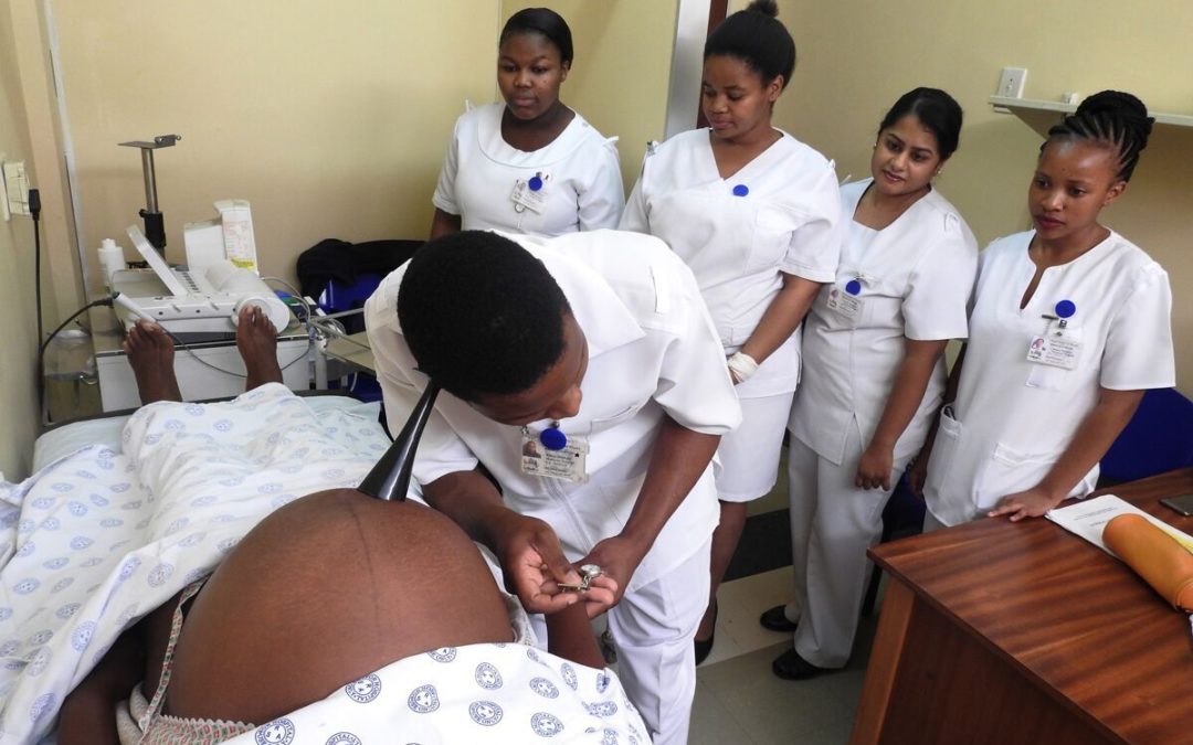 Strengthening the Quality and Quantity of the Nursing and Midwifery Workforce: Report on Eight Years of the NEPI Project